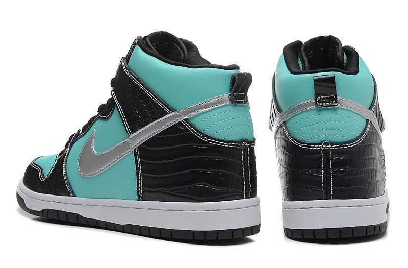 nike dunk 2014 cuir en ligne the nike dunk acheter